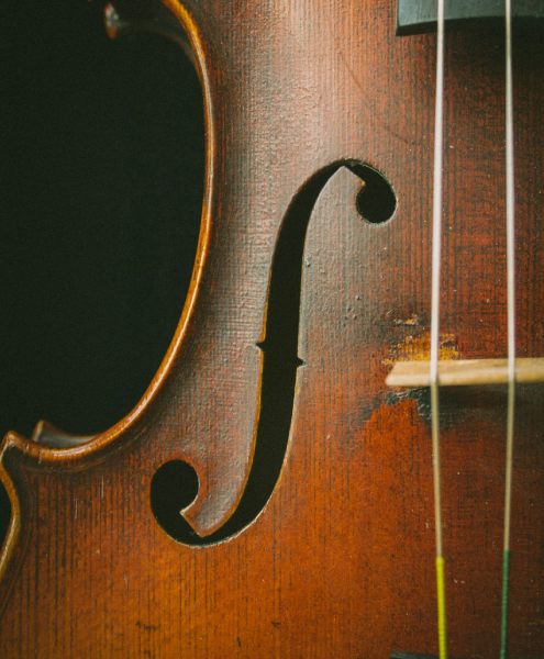 Find out about VIP companions with Mynt Models