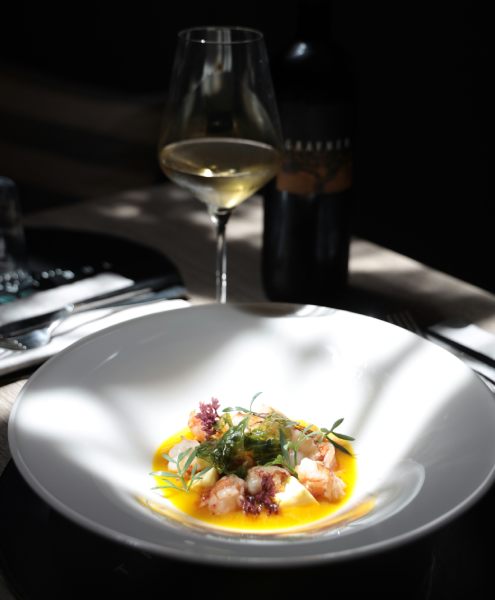 Miami's elite oceanfront experiences with Mynt Models companions