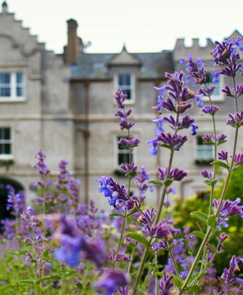 Refined girlfriends for an exclusive experience at Mynt Models