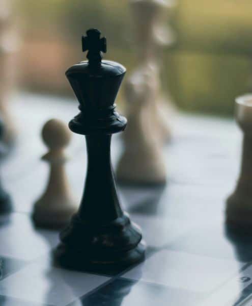 What to expect from your Mynt Models experience