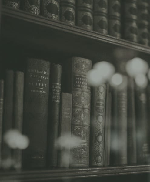 Discover intelligent escorts for erudite evenings with Mynt Models