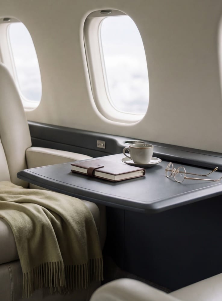 Why Private Aviation Requires a Different Standard of Companion