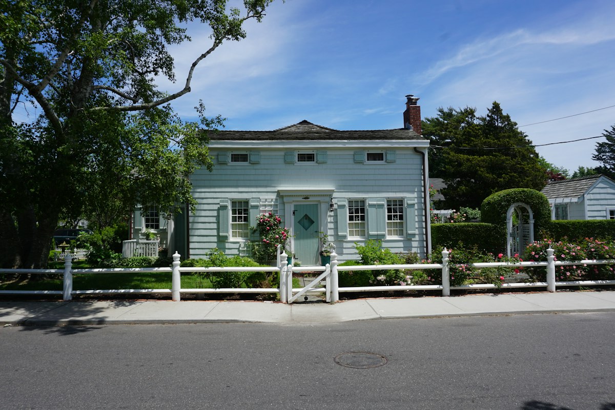 A hedged lane between fields at Bridgehampton