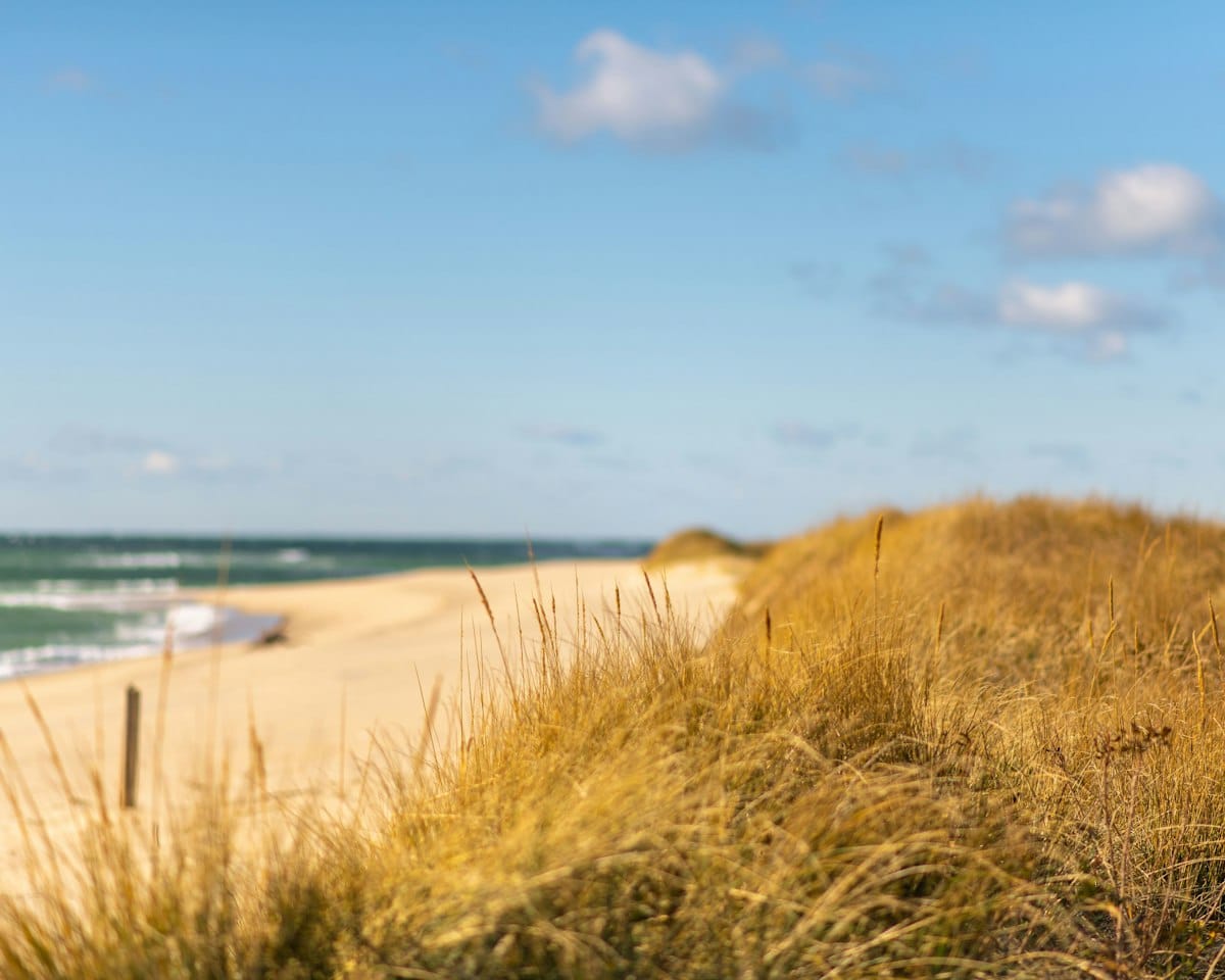 The long arc of sand at Jetties Beach