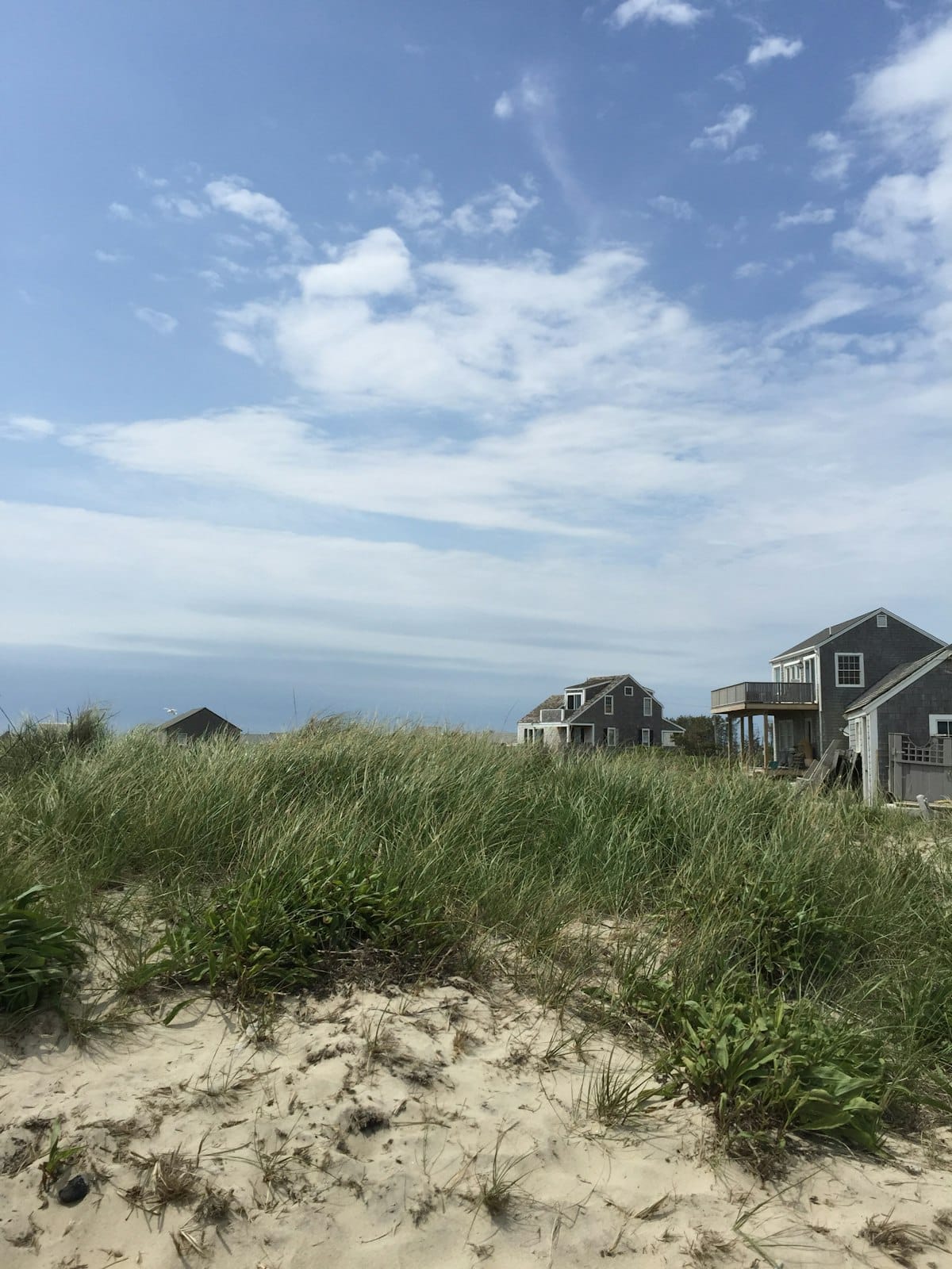 Rose-covered cottages on the bluff at Siasconset