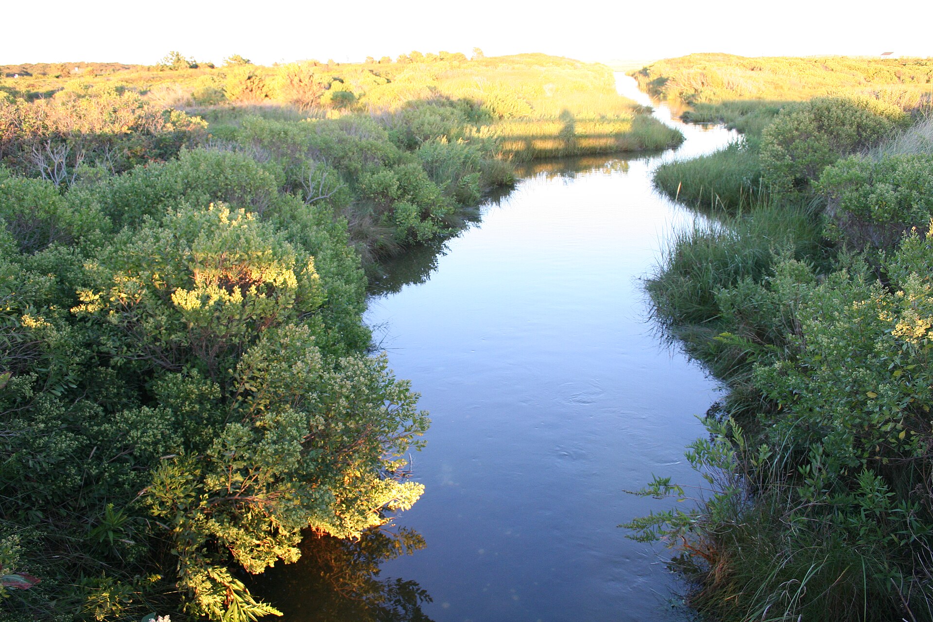 Herring Creek winding through the marsh at Katama, at sunrise